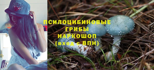 ПСИЛОЦИБИНОВЫЕ ГРИБЫ Абинск